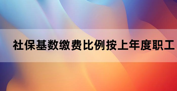 社保人均申报基数和实际基数