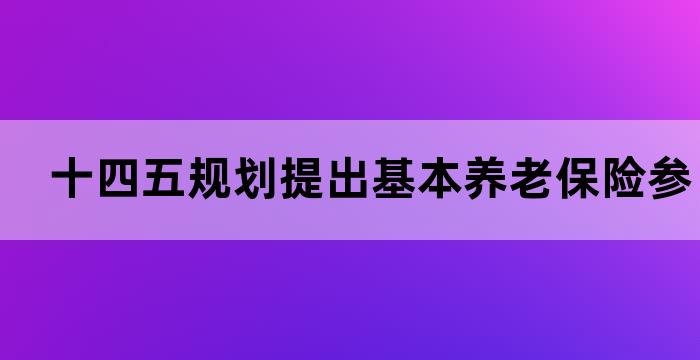 十四五规划提出基本养老保险参保率 十四五规划提出基本养老保险参保率