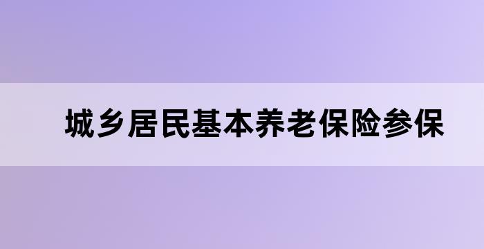 基本养老保险城乡居民养老保险
