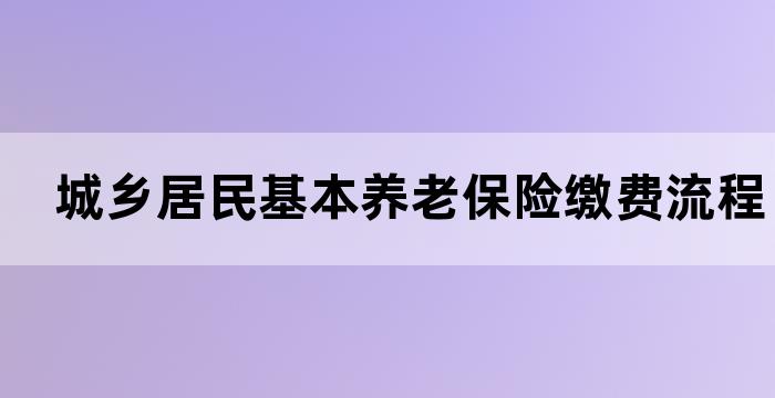 城乡居民基本养老保险缴费流程