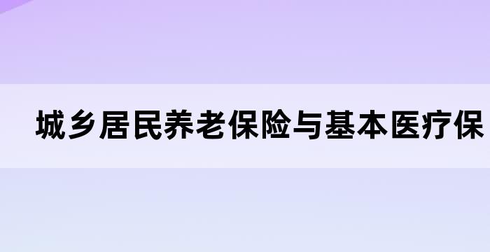 城乡居民基本养老保险和医疗保险缴费业务