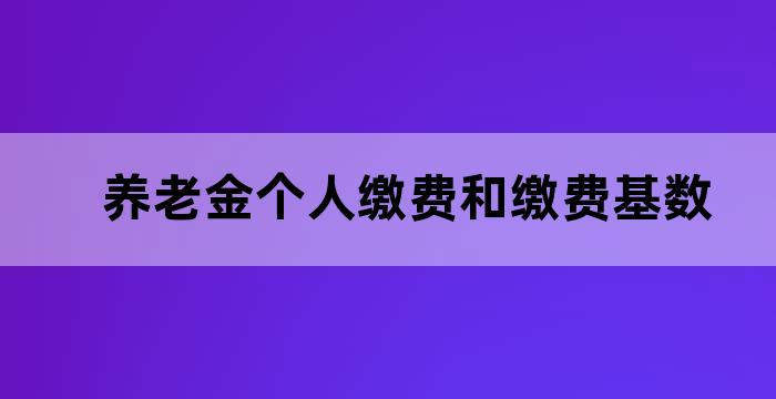 养老保险的缴费基数和养老金