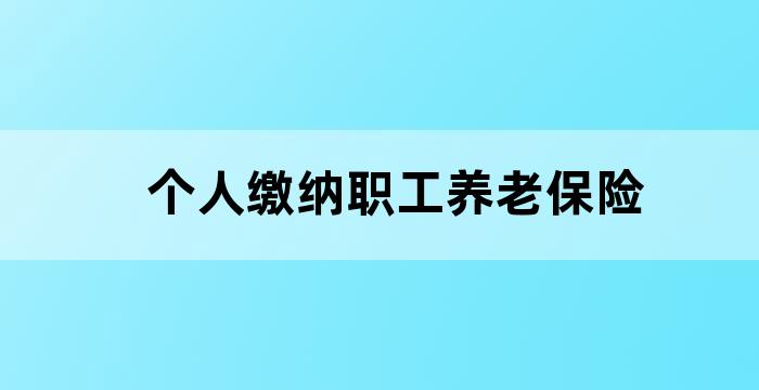 养老国家社会保障制度