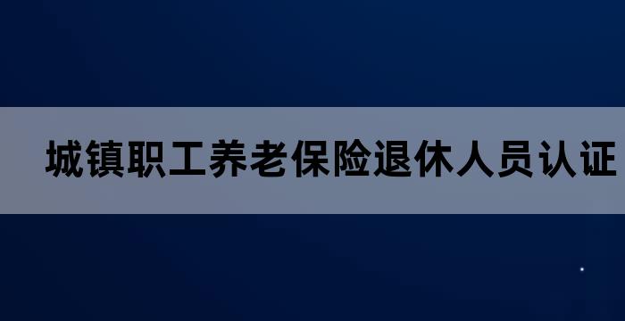 退休人员基本养老金认证