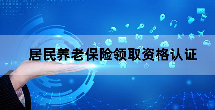 养老待遇领取人员网上资格认证指南