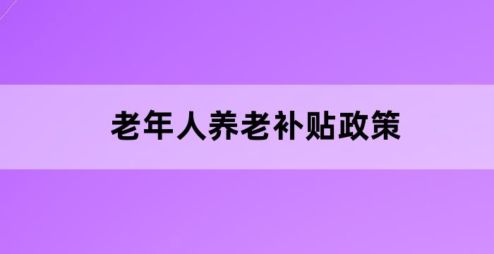 养老服务政府补贴