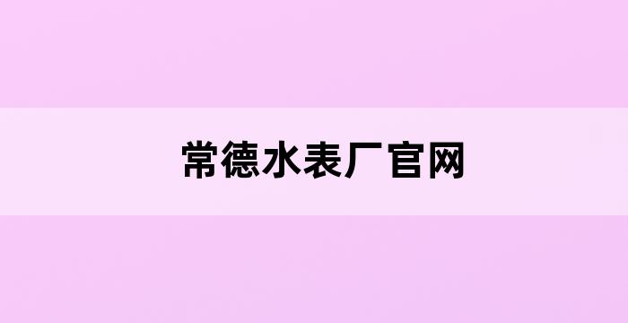常德水表制造有限公司