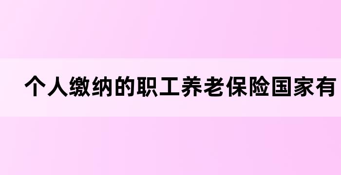 自己交养老保险有补贴吗