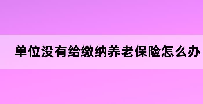 养老保险个人账户交了,没有单位缴费