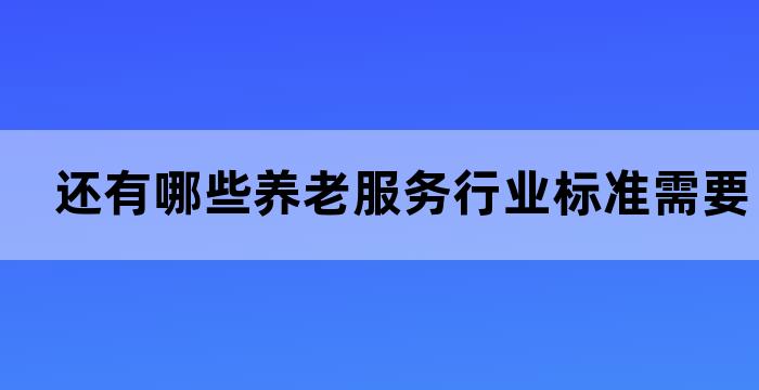 养老服务机构标准体系