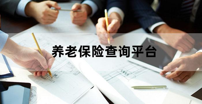 职工养老保险网上服务平台