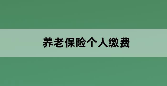 企业职工养老保险单位缴纳