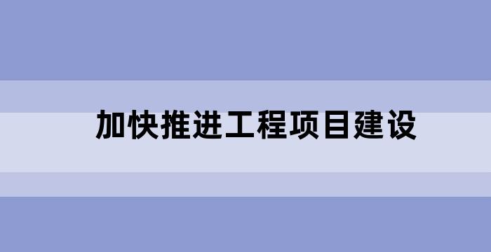 全面推进项目建设