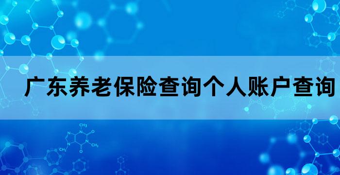 广东省养老保险查询系统