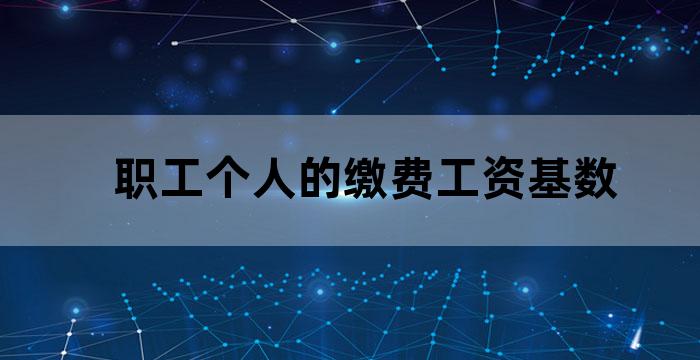 省上年度在岗职工月平均工资本人平均缴费指数