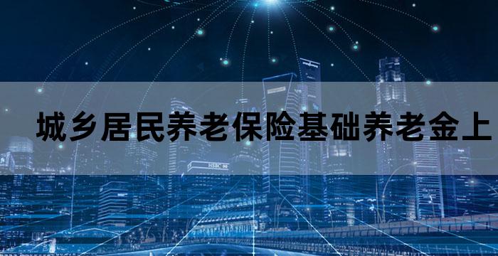 城乡居民基本养老保险增加什么