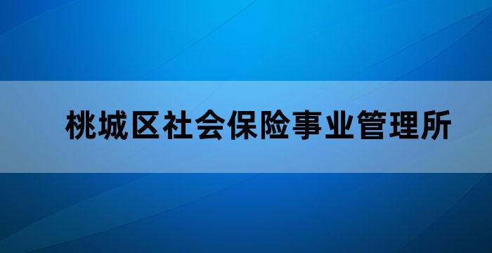 桃城区社保认证app下载