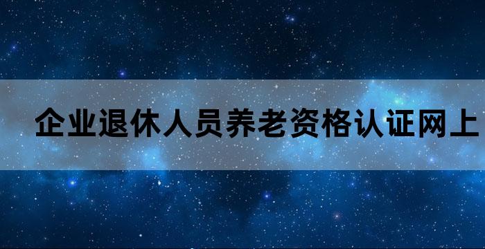企业退休养老认证怎么在网上办理