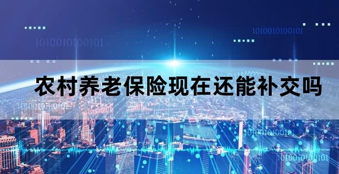 农村养老保险中断了,补上可以吗