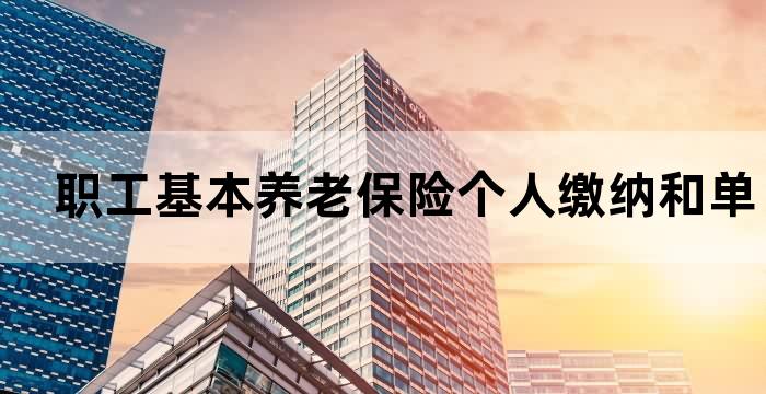 个人缴纳社保退休金