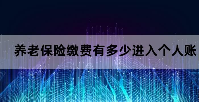 养老保险纳入个人账户