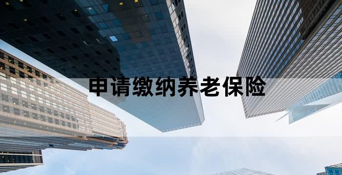 个人参保职工养老保险缴费