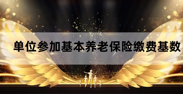 职工养老保险单位缴费基数