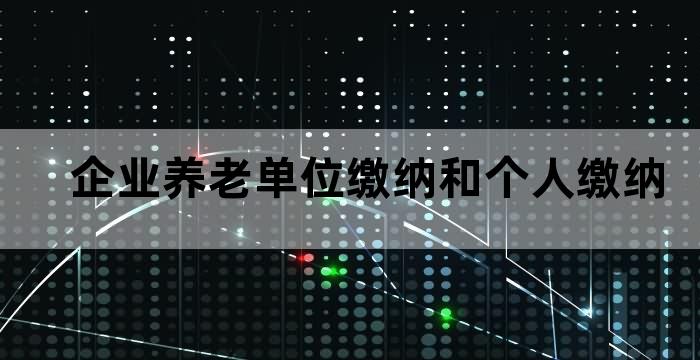 企业员工个人养老金缴纳规定