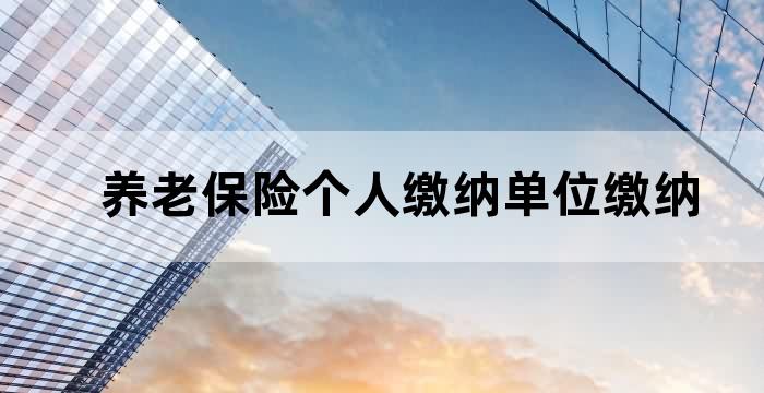养老保险个人缴纳单位缴纳