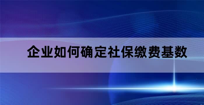 企业社保的缴费基数