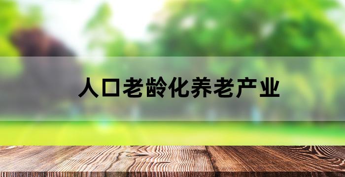 《中国养老产业研究报告》