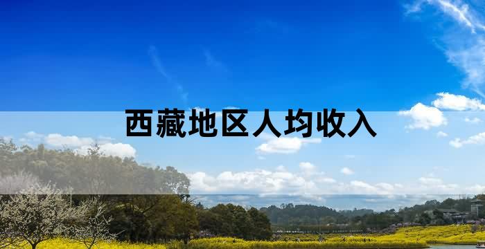 西藏养老保险比例