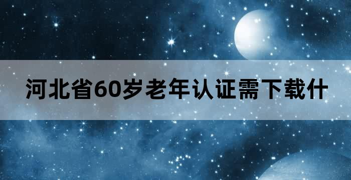 河北老人认证软件