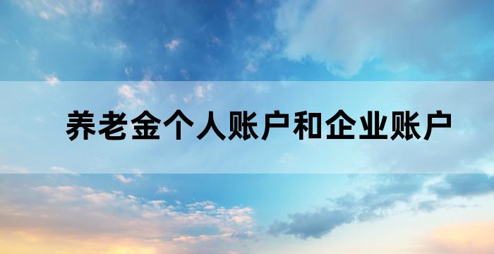 养老金个人账户和企业账户 养老金个人账户和企业账户