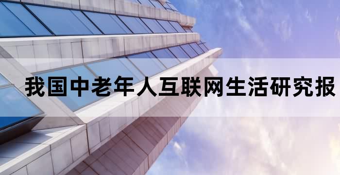 老年人使用互联网