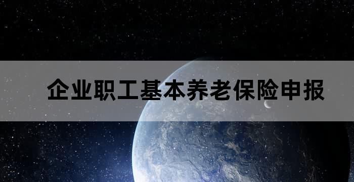 养老保险自主申报和核定申报