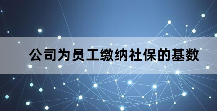 社保用人单位缴费基数