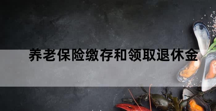 养老保险可以领取现金吗