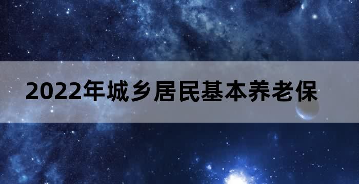 2022年城乡居民基本养老保险缴费标准