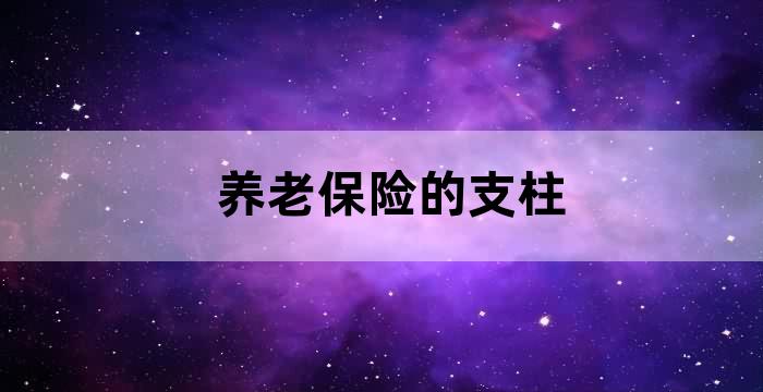 我国养老保险体系的三大支柱