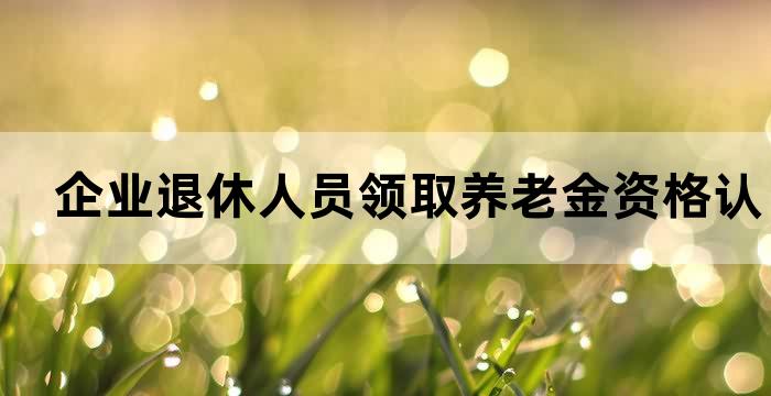 离退休人员基本养老保险待遇领取资格认证流程