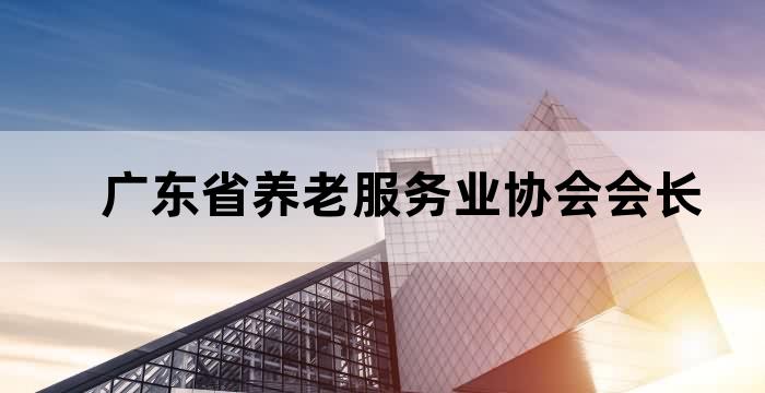 广东省养老协会会长