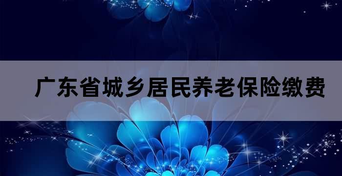 广东省居民社会养老保险