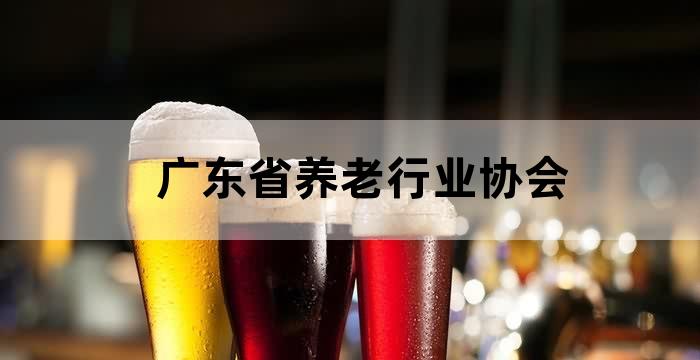 广东省养老服务业协会