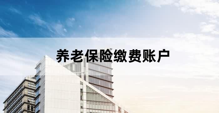 职工养老保险统筹账户