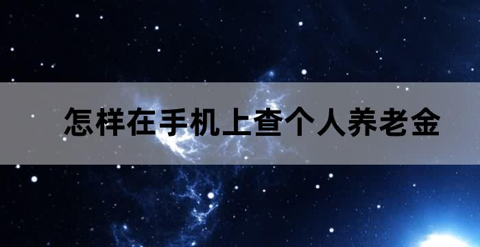 怎样在手机上查个人养老金 怎样在手机上查个人养老金