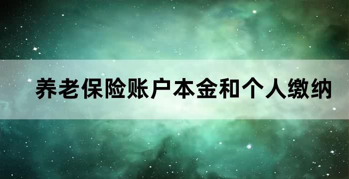 职工个人缴纳的养老保险费全部计入个人账户