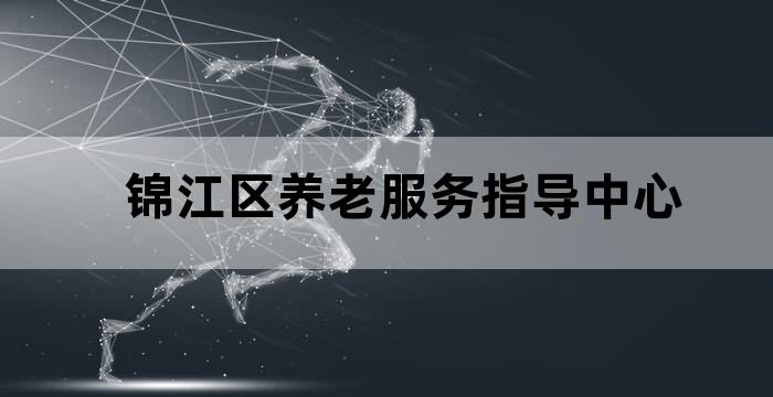 锦江区居家养老服务智能卡