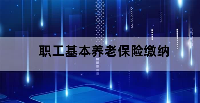 城乡居民基本养老保险缴费