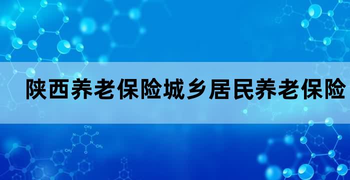 陕西省城乡居民社会保险缴费